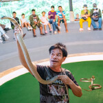 บัตรเข้าชมสวนสัตว์ Hua Hin Safari & Adventure Park (หัวหินซาฟารี) พร้อมกิจกรรม สำหรับ 1 ท่าน