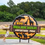 บัตรเข้าชมสวนสัตว์ Hua Hin Safari & Adventure Park (หัวหินซาฟารี) พร้อมกิจกรรม สำหรับ 1 ท่าน