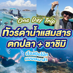 ทริปดำน้ำ+ตกปลา แสมสาร เรือสปีดโบ๊ท (เหมาลำ) สำหรับ 1-6 ท่าน , สัตหีบ ชลบุรี