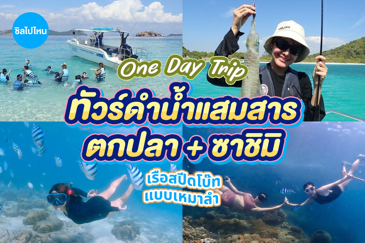 ทริปดำน้ำ+ตกปลา แสมสาร เรือสปีดโบ๊ท (เหมาลำ) สำหรับ 1-6 ท่าน , สัตหีบ ชลบุรี