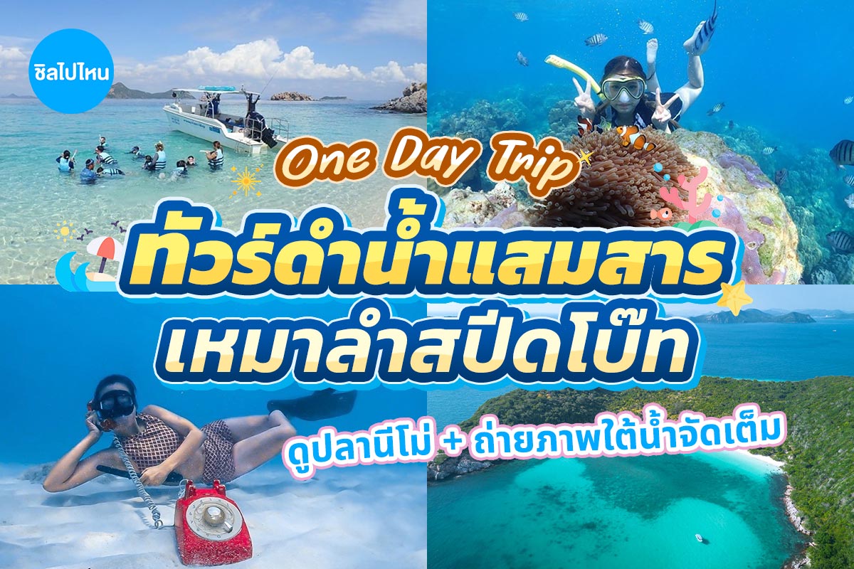 ทริปดำน้ำแสมสาร เรือสปีดโบ๊ท (เหมาลำ) สำหรับ 1-6 ท่าน , สัตหีบ ชลบุรี