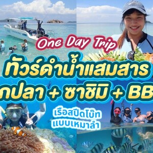 ทริปดำน้ำแสมสาร + ตกปลา + BBQ  เรือสปีดโบ๊ท (เหมาลำ) สำหรับ 1-6 ท่าน , สัตหีบ ชลบุรี