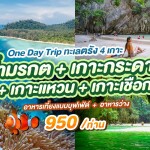 One Day Trip ทะเลตรัง 4 เกาะ ถ้ำมรกต + เกาะกระดาน + เกาะแหวน + เกาะเชือก (Join Group) สำหรับ 1 ท่าน, ตรัง