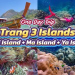 One Day Trip ทะเลตรัง 3 เกาะ เกาะไหง + เกาะม้า + เกาะยา (Join Group) สำหรับ 1 ท่าน, ตรัง
