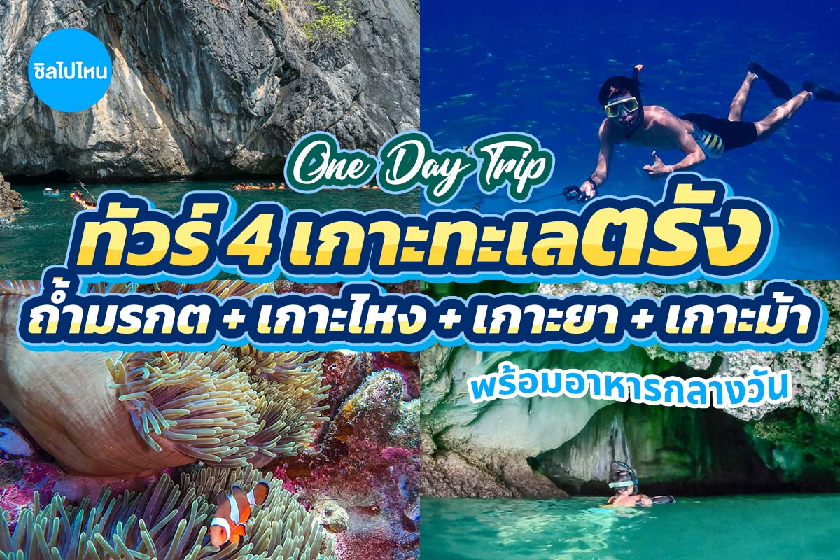 One Day Trip ทะเลตรัง : 4 เกาะ ถ้ำมรกต + เกาะไหง + เกาะยา + เกาะม้า (Join Group)