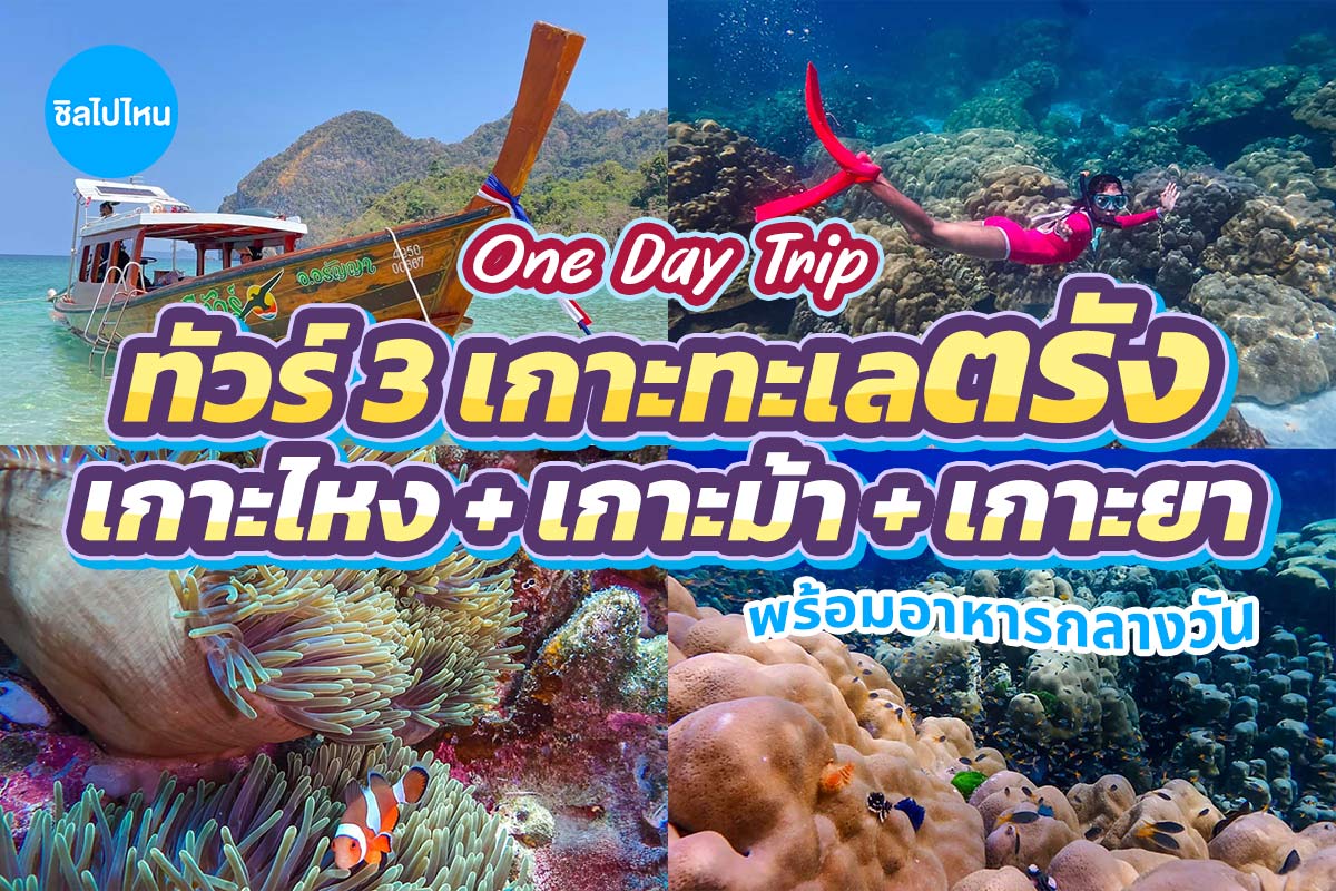 One Day Trip ทะเลตรัง 3 เกาะ เกาะไหง + เกาะม้า + เกาะยา (Join Group) สำหรับ 1 ท่าน, ตรัง