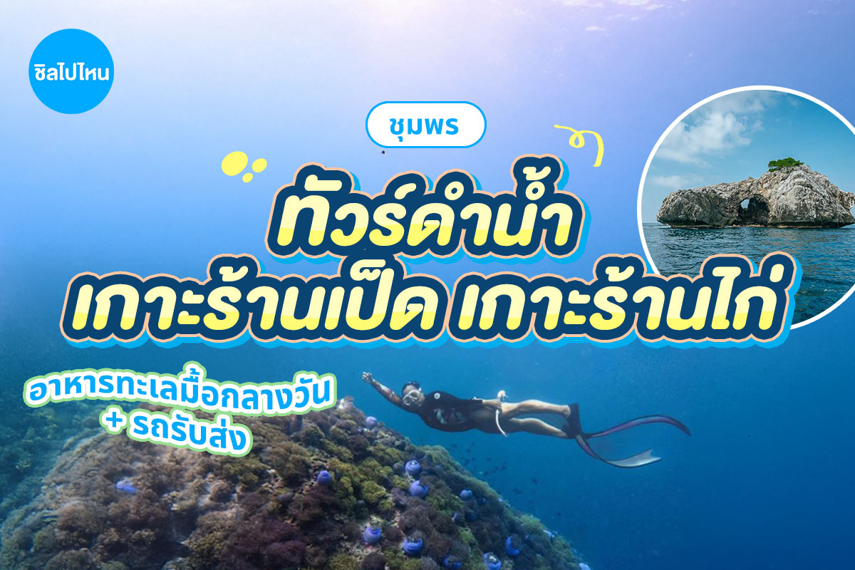 One Day Trip ชุมพร : ดำน้ำเกาะร้านเป็ด ร้านไก่ + อาหารกลางวัน + รถรับส่ง