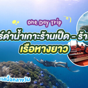 One Day Trip ชุมพร : ดำน้ำเกาะร้านเป็ด ร้านไก่ + อาหารกลางวัน + รถรับส่ง