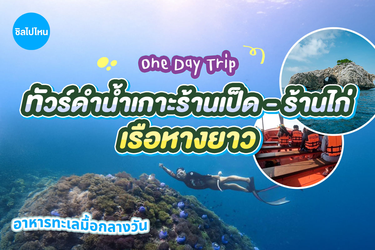 One Day Trip ชุมพร : ดำน้ำเกาะร้านเป็ด ร้านไก่ + อาหารกลางวัน + รถรับส่ง