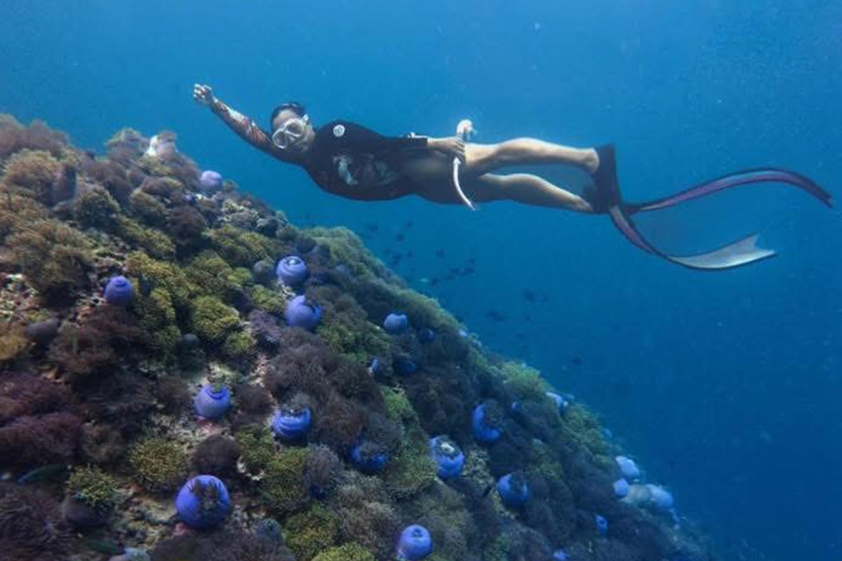 One Day Trip ชุมพร : ดำน้ำเกาะร้านเป็ด ร้านไก่ + อาหารกลาง + รถรับส่ง