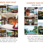 แพ็คเกจหลีเป๊ะ 4 วัน 3 คืน พักที่ Serendipity Beach Resort + ทริปดำน้ำ + รถและเรือรับส่ง + อาหาร 5 มื้อ , 2 ท่าน