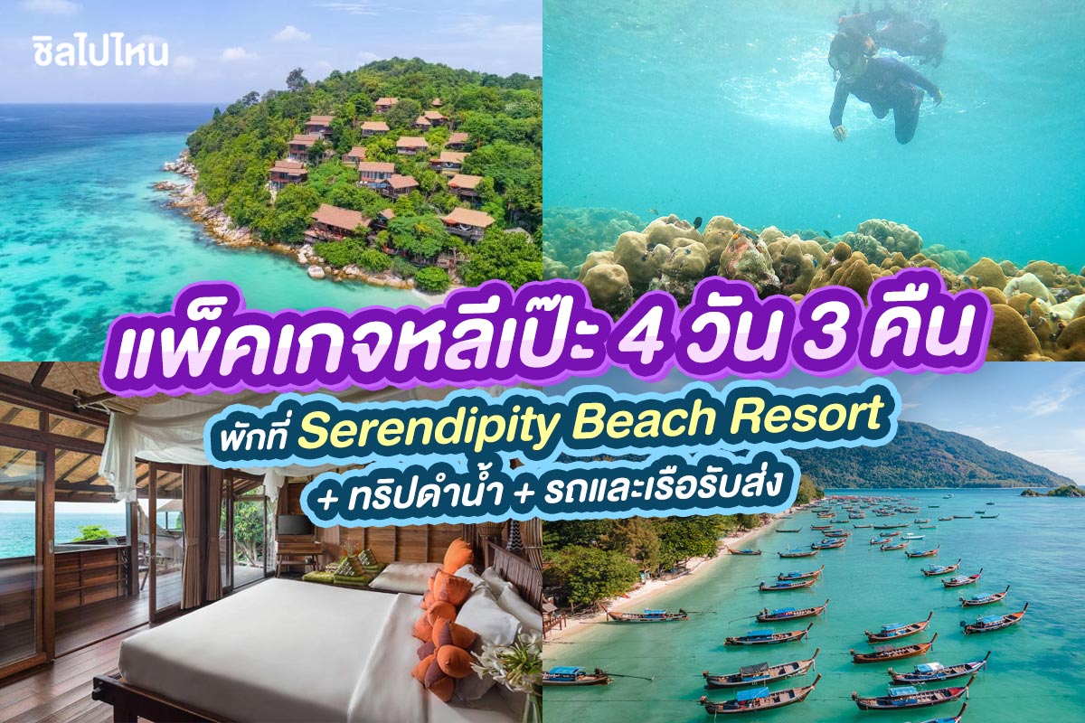 แพ็คเกจหลีเป๊ะ 3 วัน 2 คืน พักที่ Serendipity Beach Resort + ทริปดำน้ำ + รถและเรือรับส่ง + อาหาร 5 มื้อ , 2 ท่าน