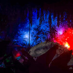 บัตรเข้าชม จูราสสิค เวิลด์ ดิ เอ็กซ์พีเรียนซ์ (Jurassic World The Experience) เอเชียทีค กรุงเทพ