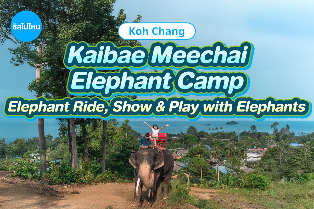 voucher/kaibae-meechai-elephant-camp/eng-kaibaemeechai800.jpg