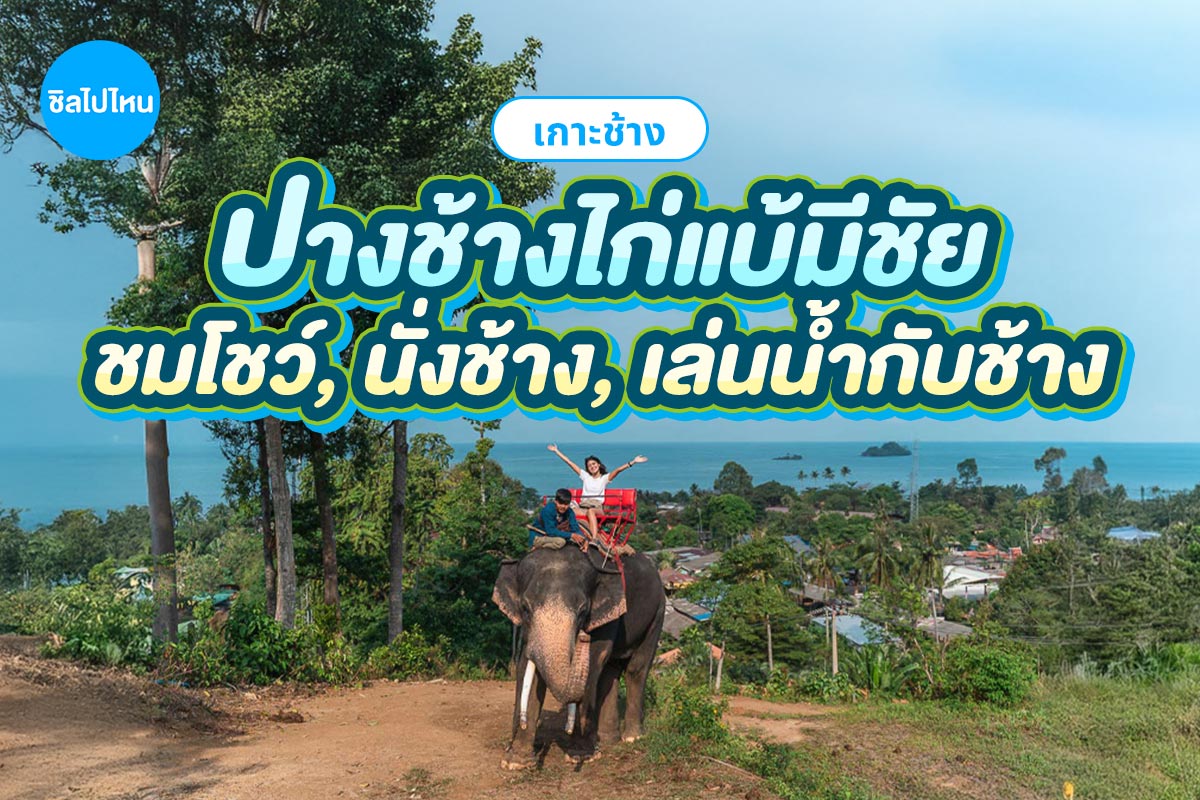 ตั๋วกิจกรรม นั่งช้าง ชมโชว์ เล่นน้ำกับช้าง ที่ ปางช้างไก่แบ้ มีชัย สำหรับ 1 ท่าน, เกาะช้าง
