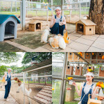 Khaoyai Fantasy Resort (เขาใหญ่แฟนตาซี รีสอร์ท) ห้อง Dome Junior 2 ท่าน + บัตรสวนน้ำ + บัตรกิจกรรม, เขาใหญ่