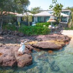Rocco Villa Koh Larn  (ร็อคโค่ วิลล่า เกาะล้าน) : ห้อง Private pool villa sea side (Villa 01 ) 2 ท่าน , เกาะล้าน