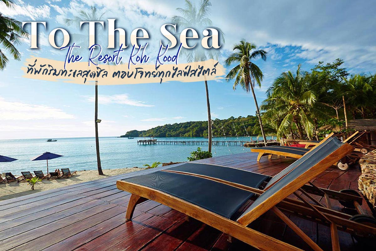 แพ็คเกจเกาะกูด พักที่ To The Sea Koh Kood รวมการเดินทางไป-กลับ กรุงเทพ-เกาะกูด