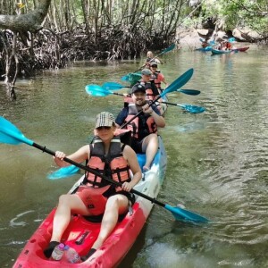 แพ็คเกจทัวร์พายเรือคายัดอ่าวท่าเลน สำหรับ 1 ท่าน ,กระบี่