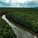 ทริปล่องเรือหางยาวสุดหรูแบบส่วนตัว 2-8 ท่าน เขาขนาบน้ำ, กระบี่