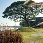 Le Meridien Chiang Rai Resort (เลอเมอริเดียน เชียงราย รีสอร์ท) ห้อง Deluxe Garden View 2 ท่าน , เชียงราย