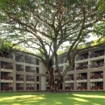 Le Meridien Chiang Rai Resort (เลอเมอริเดียน เชียงราย รีสอร์ท) ห้อง Deluxe Garden View 2 ท่าน , เชียงราย