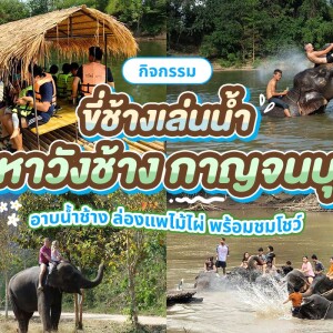 มหาวังช้าง กาญจนบุรี : กิจกรรมขี่ช้างเล่นน้ำ อาบน้ำช้าง ล่องแพไม้ไผ่ พร้อมชมโชว์ช้าง