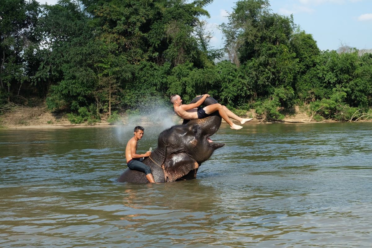 มหาวังช้าง กาญจนบุรี : กิจกรรมขี่ช้างเล่นน้ำ อาบน้ำช้าง ล่องแพไม้ไผ่ พร้อมชมโชว์ช้าง