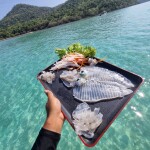 ทริปดำน้ำเกาะครามน้อย เกาะครามใหญ่ ตกปลา ตกหมึก โดยเรือสปีดโบ๊ท(เหมาลำ) สำหรับ 1-6 ท่าน