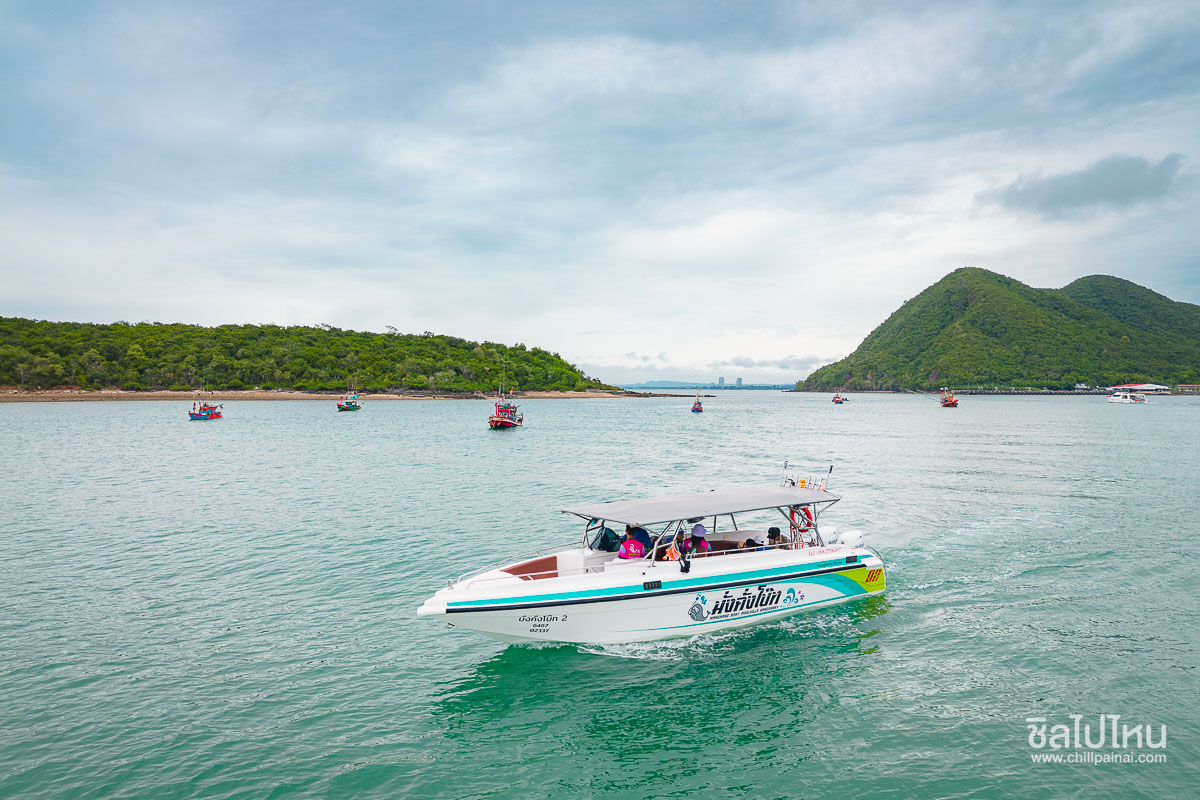 ทริปดำน้ำบางเสร่ เกาะครามน้อย เกาะครามใหญ่ โดยเรือสปีดโบ๊ท (เหมาลำ) สำหรับ 1-6 ท่าน