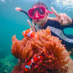 ทริปดำน้ำบางเสร่ เกาะครามน้อย เกาะครามใหญ่ โดยเรือสปีดโบ๊ท (เหมาลำ) สำหรับ 1-6 ท่าน