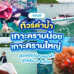 ทริปดำน้ำบางเสร่ เกาะครามน้อย เกาะครามใหญ่ โดยเรือสปีดโบ๊ท (เหมาลำ) สำหรับ 1-6 ท่าน