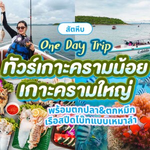 ทริปดำน้ำเกาะครามน้อย เกาะครามใหญ่ ตกปลา ตกหมึก โดยเรือสปีดโบ๊ท(เหมาลำ) สำหรับ 1-6 ท่าน