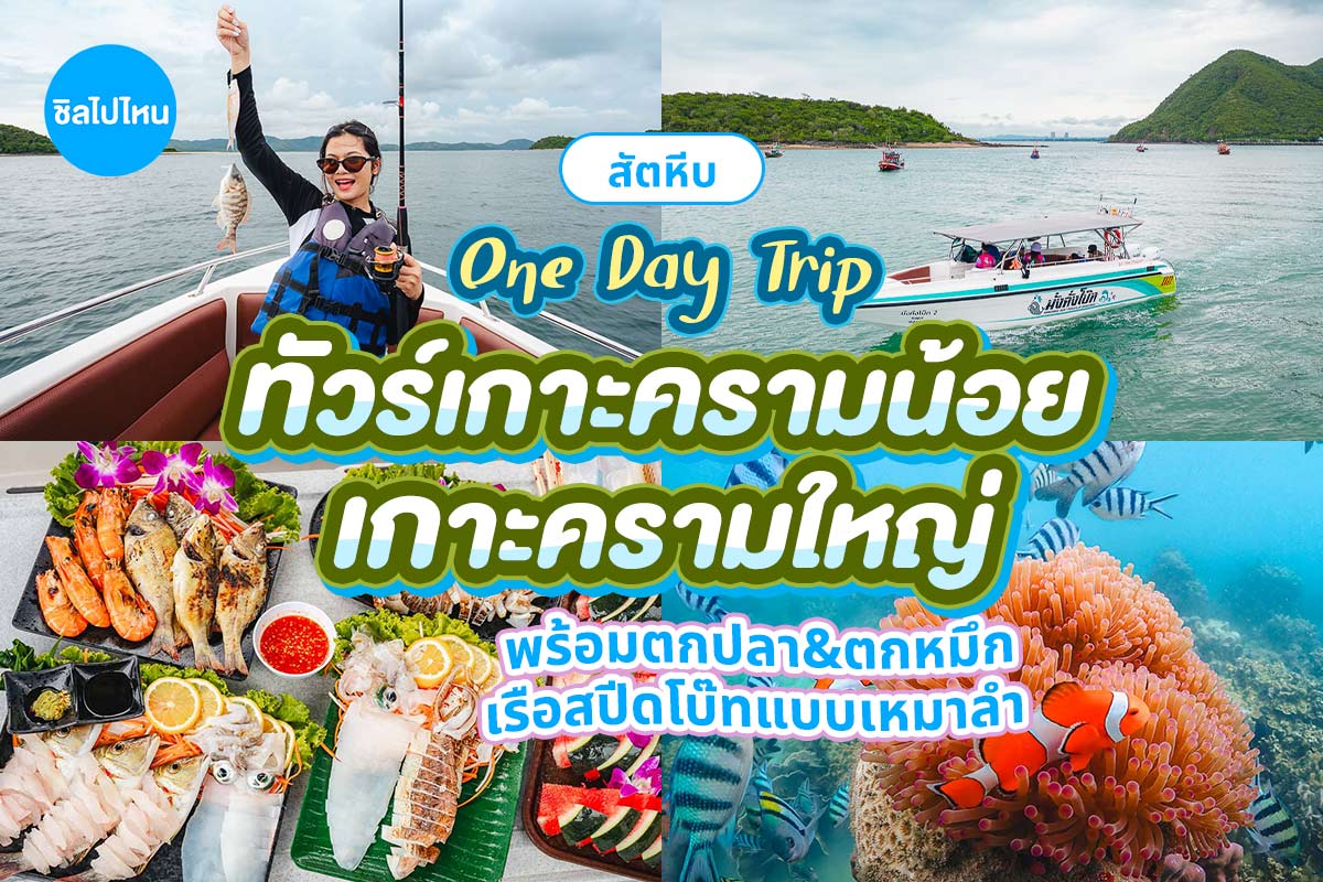 ทริปดำน้ำเกาะครามน้อย เกาะครามใหญ่ ตกปลา ตกหมึก โดยเรือสปีดโบ๊ท(เหมาลำ) สำหรับ 1-6 ท่าน