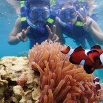 ทริปดำน้ำแสมสาร เรือสปีดโบ๊ท (เหมาลำ) สำหรับ 1-6 ท่าน, สัตหีบ ชลบุรี