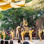 กิจกรรมขี่ช้างชมป่าธรรมชาติและชมแฟนตาซีโชว์ ที่มองช้างคาเฟ่และหมู่บ้านช้าง, พัทยา