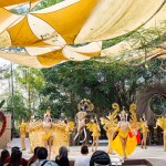 กิจกรรมขี่ช้างชมป่าธรรมชาติและชมแฟนตาซีโชว์ ที่มองช้างคาเฟ่และหมู่บ้านช้าง, พัทยา