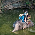 กิจกรรมขี่ช้างชมป่าธรรมชาติและชมแฟนตาซีโชว์ ที่มองช้างคาเฟ่และหมู่บ้านช้าง, พัทยา