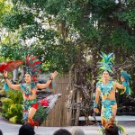 กิจกรรมขี่ช้างชมป่าธรรมชาติและชมแฟนตาซีโชว์ ที่มองช้างคาเฟ่และหมู่บ้านช้าง, พัทยา