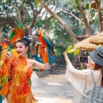 กิจกรรมขี่ช้างชมป่าธรรมชาติและชมแฟนตาซีโชว์ ที่มองช้างคาเฟ่และหมู่บ้านช้าง, พัทยา