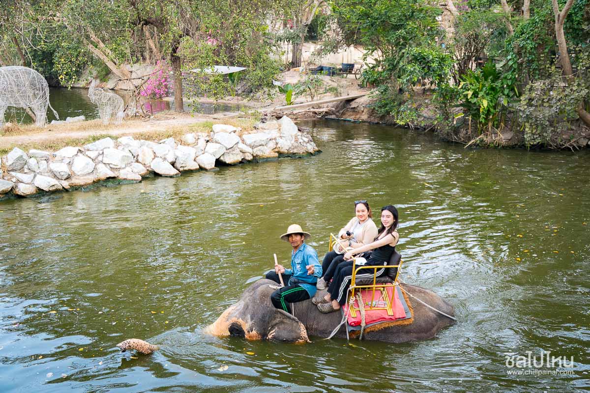 Elephant Trekking and FantasyShow @Mongchang Cafe, Pattaya
