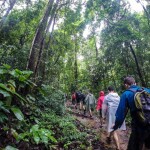 Hiking Trips ทริปเดินป่าบนดอยสุเทพ (จอยทริป) สำหรับ 1 ท่าน, เชียงใหม่