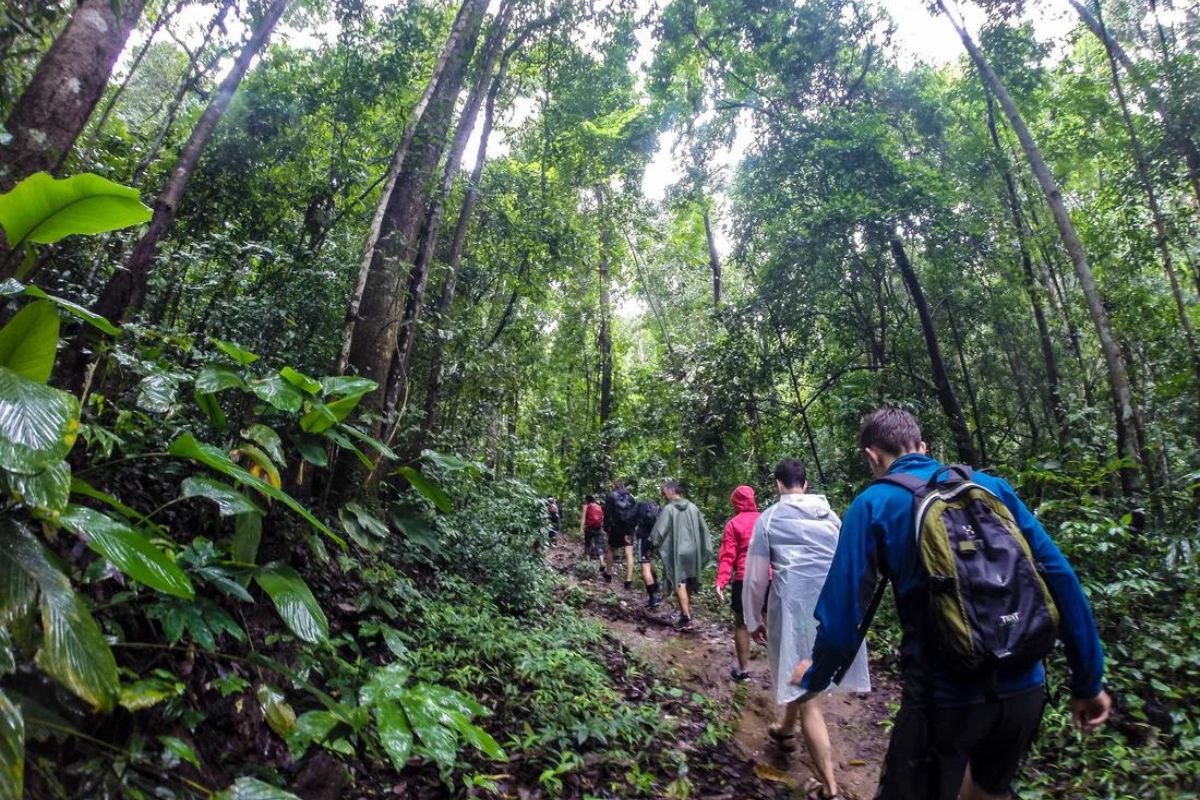 ตะลุยเดินป่าไทยที่อุทยานแห่งชาติติดดอย กับ Mountain Biking Chiang Mai สำหรับ 1 ท่าน,เชียงใหม่