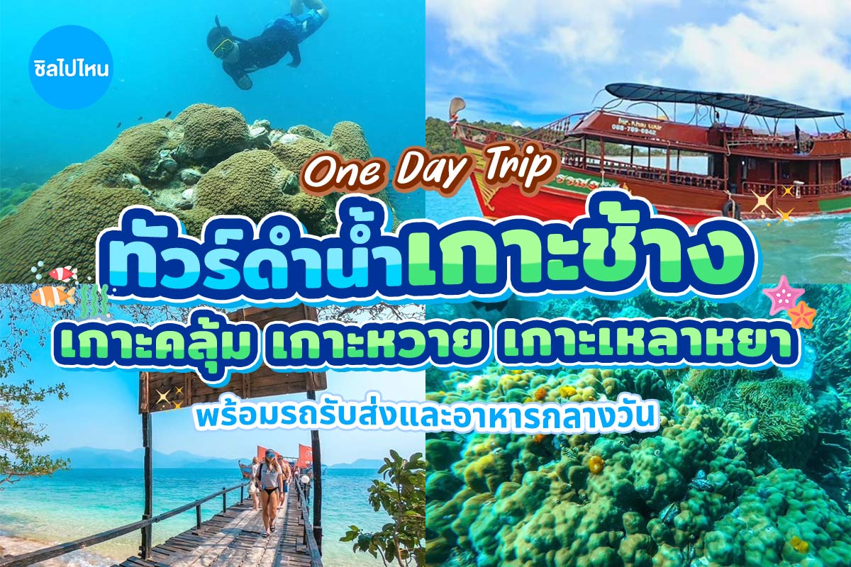 One Day Trip เกาะช้าง (จอยทริป) : ทัวร์ดำน้ำ 3 เกาะ+ตกปลา เกาะคลุ้ม เกาะหวาย เกาะเหลาหยา+อาหารกลางวัน+รถรับ-ส่ง