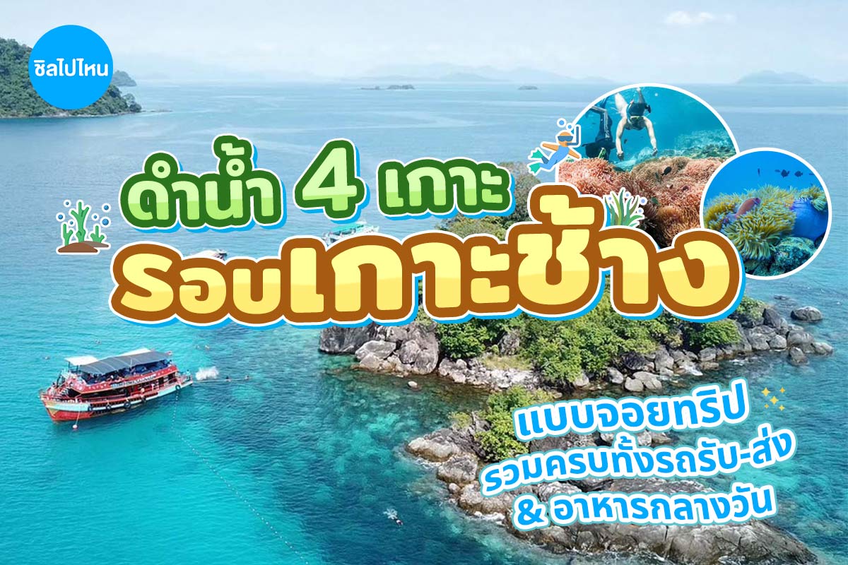 One Day Trip เกาะช้าง (จอยทริป) : ทัวร์ดำน้ำ 4 เกาะ เกาะยักษ์เล็ก เกาะยักษ์ใหญ่ เกาะรัง เกาะมะปริง +อาหารกลางวัน+รถรับ-ส่ง