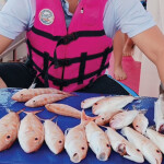 ทริปดำน้ำ ตกหมึก ตกปลา แสมสาร เรือสปีดโบ๊ท (เหมาลำ) สำหรับ 1-6 ท่าน , สัตหีบ ชลบุรี