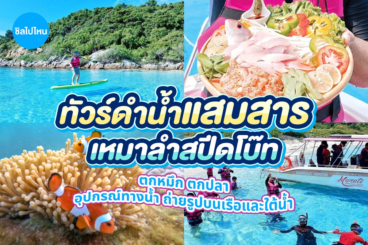 ทริปดำน้ำ ตกหมึก ตกปลา แสมสาร เรือสปีดโบ๊ท (เหมาลำ) สำหรับ 1-6 ท่าน , สัตหีบ ชลบุรี
