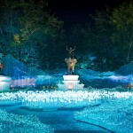 บัตรเข้าชมงานกลางคืน Nasatta Light Festival Winter Illumination 2026 ณ สัทธา อุทยานไทย ราชบุรี