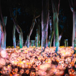 บัตรเข้าชมงานกลางคืน Nasatta Light Festival Winter Illumination 2026 ณ สัทธา อุทยานไทย ราชบุรี