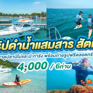 ทริปดำน้ำแสมสาร สัตหีบ สำหรับ 6 ท่าน เรือสปีดโบ้ท, สัตหีบ ชลบุรี